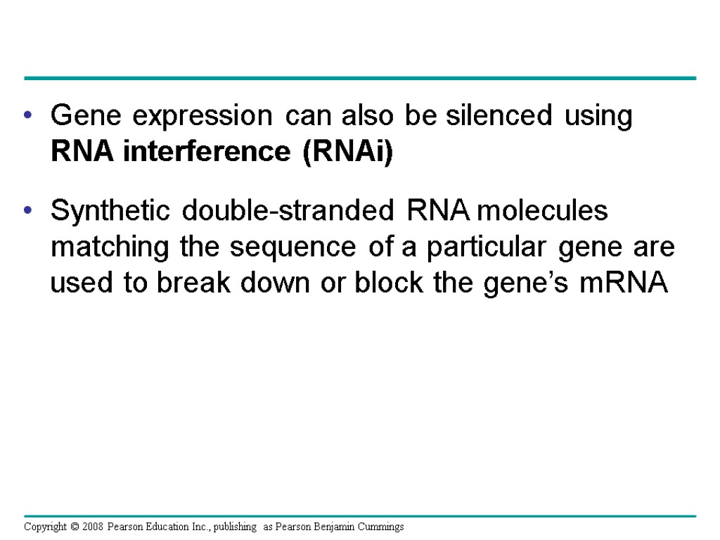 Gene expression can also be silenced using RNA interference (RNAi) Synthetic double-stranded RNA molecules